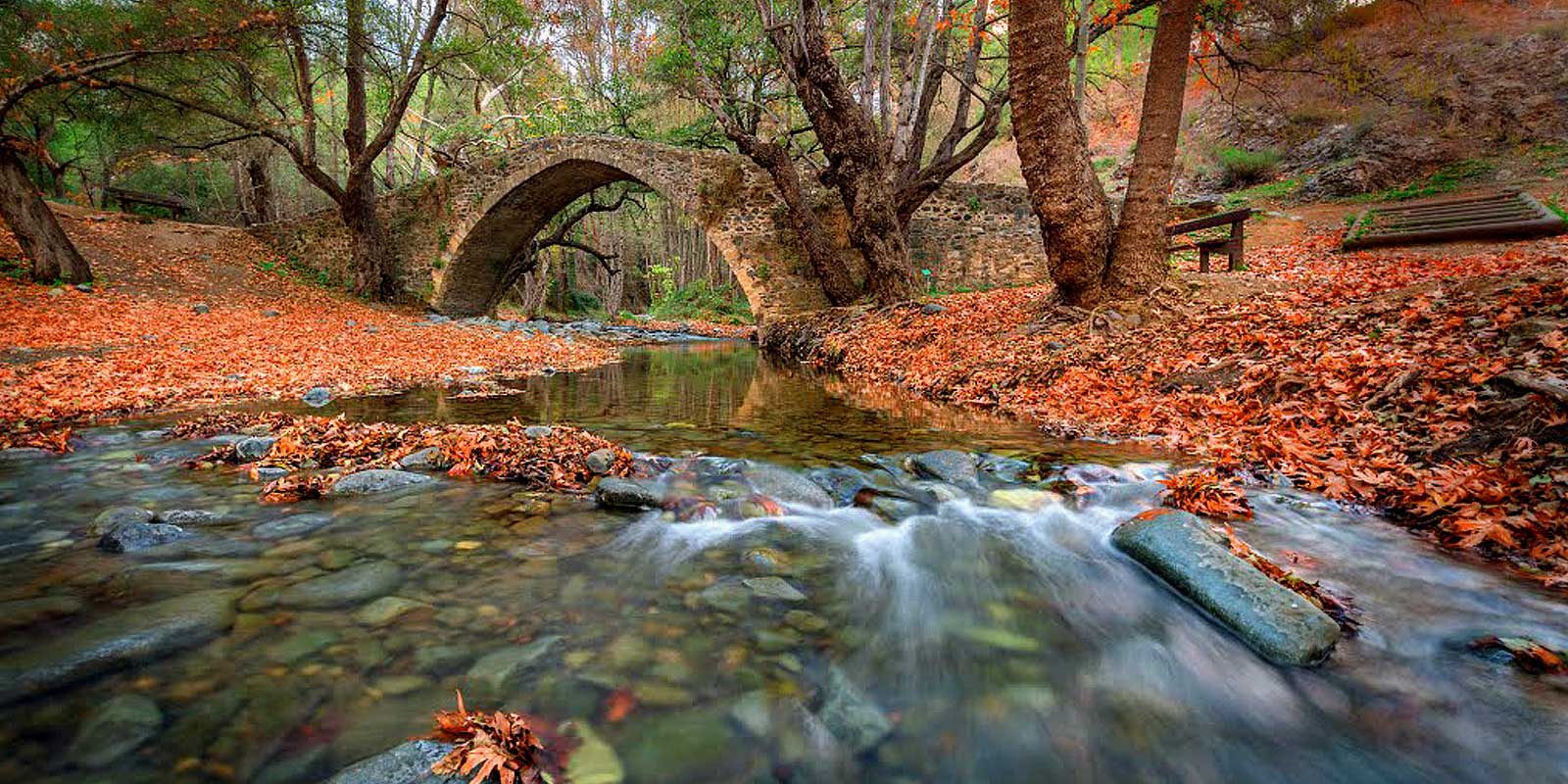 Autumn Season